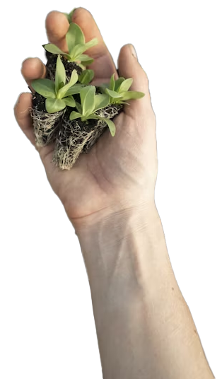 Hosítal Veterinário