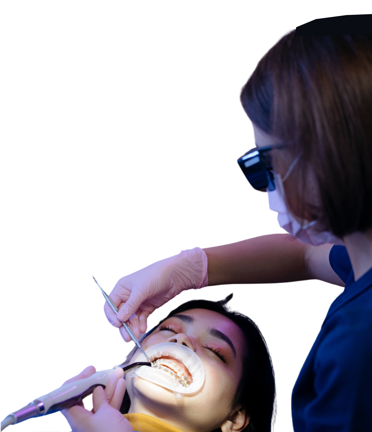 Medicina Veterinária