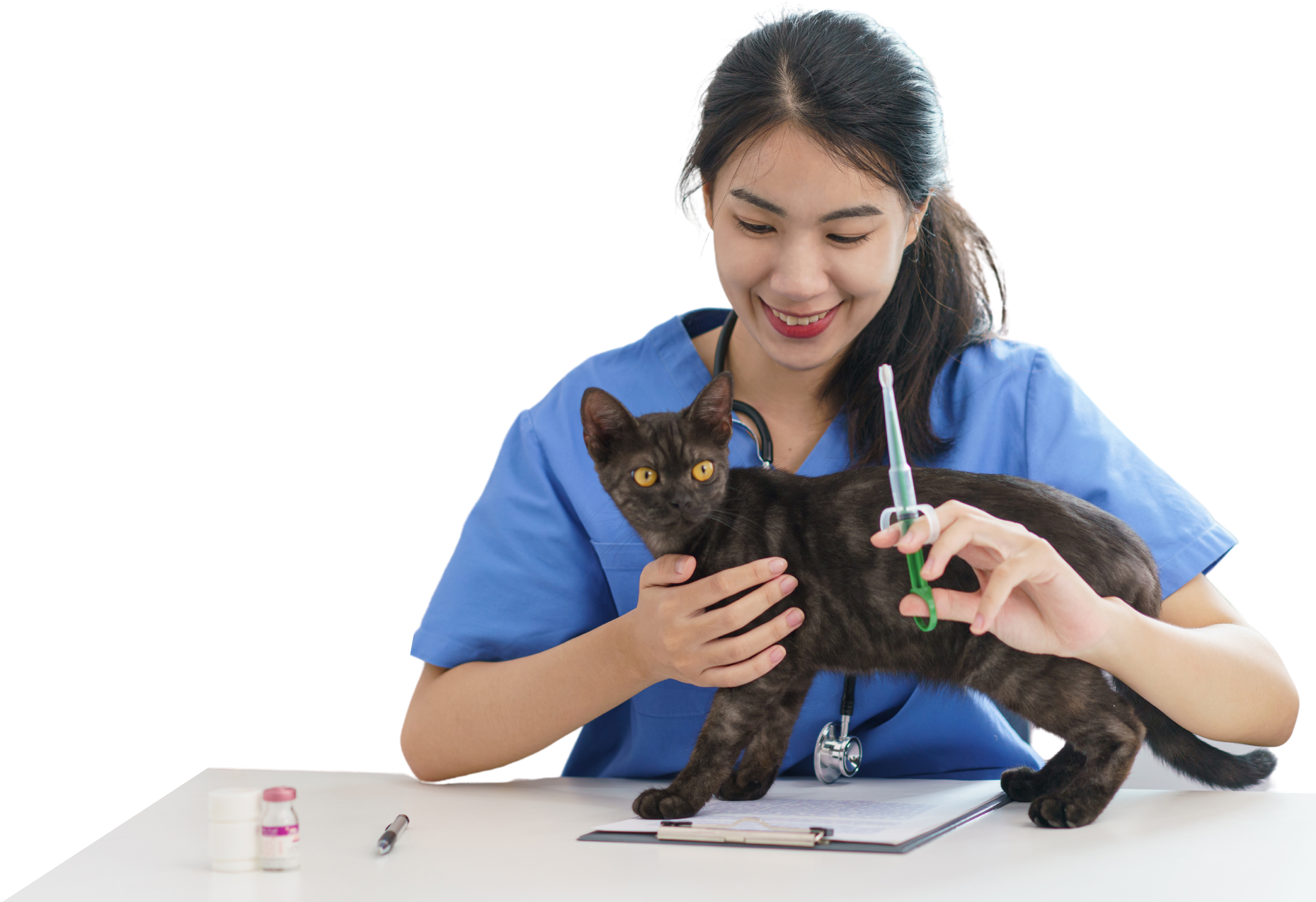 Sistemas de Informação