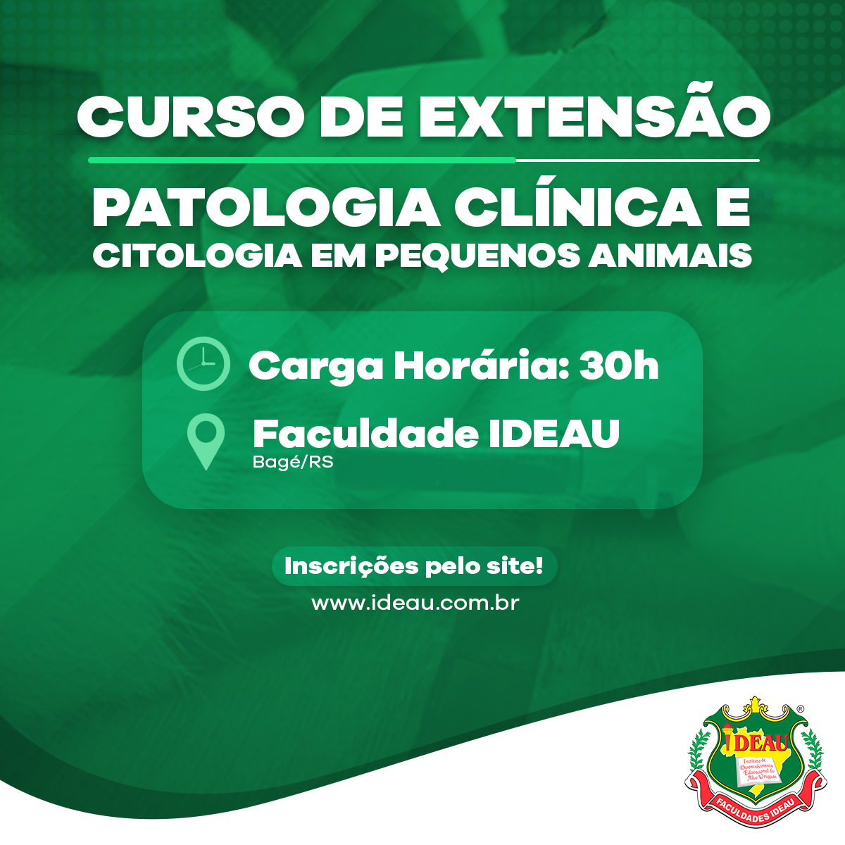 Curso de Patologia Clínica e Citologia em Pequenos Animais