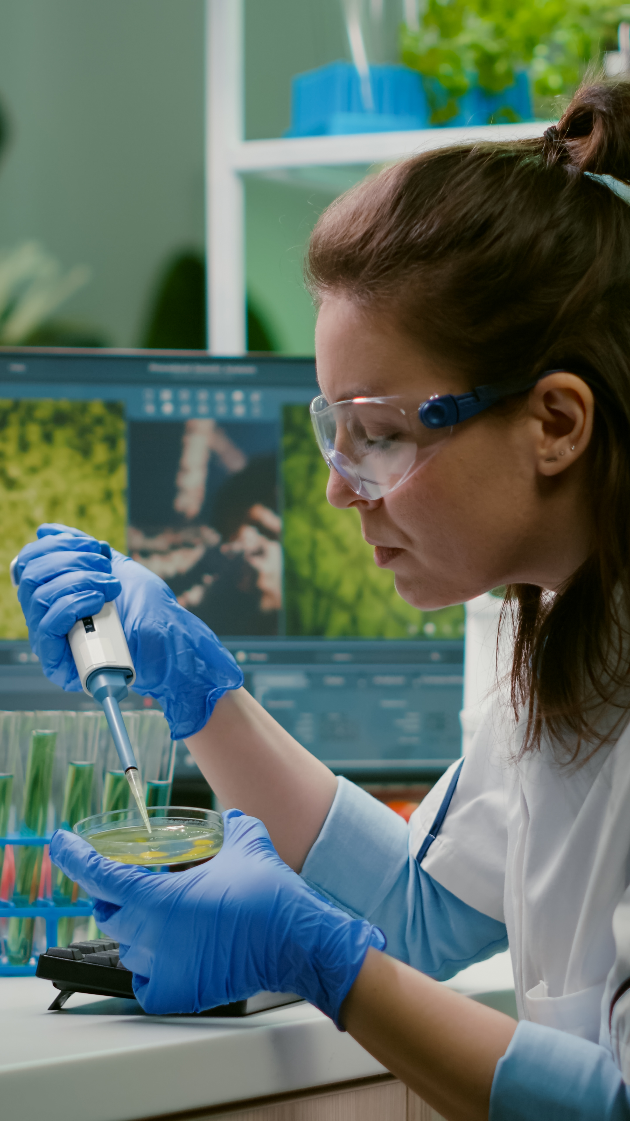 Curso de Nivelamento em Bioquímica Energética e Toxicologia Básica