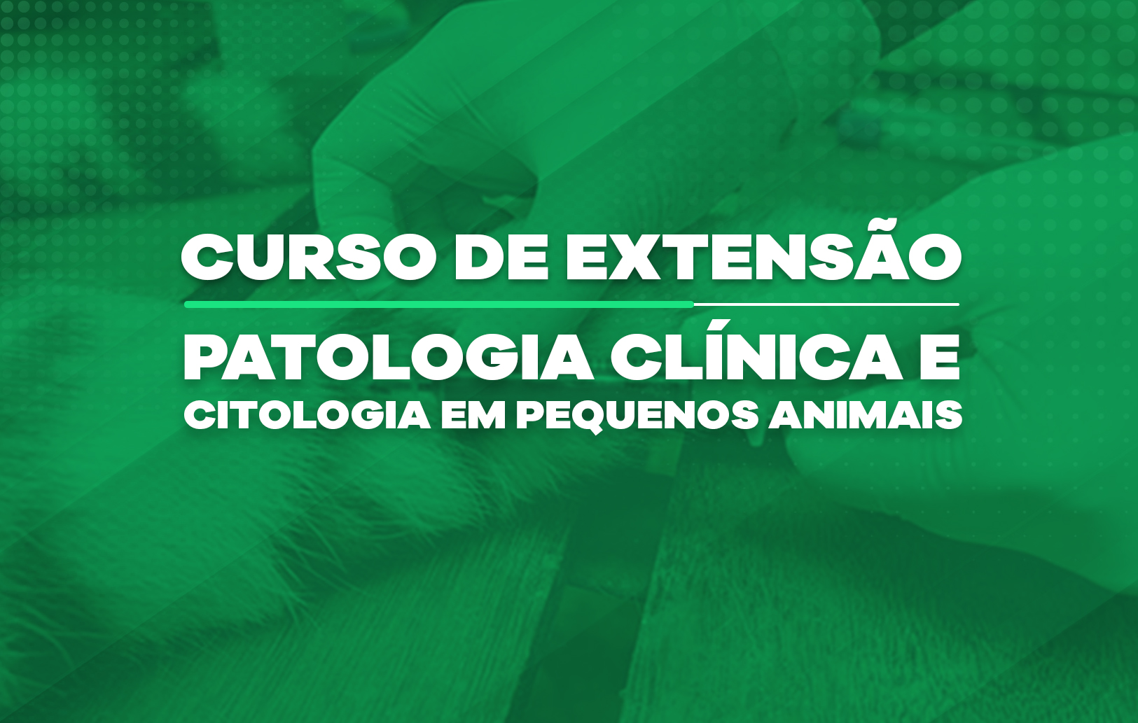 Curso de Patologia Clínica e Citologia em Pequenos Animais