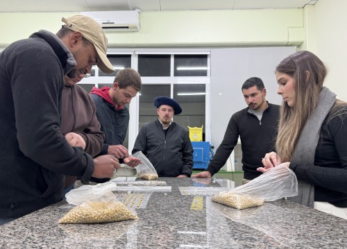 Curso de Agronomia realiza aula prática sobre teste de germinação de sementes