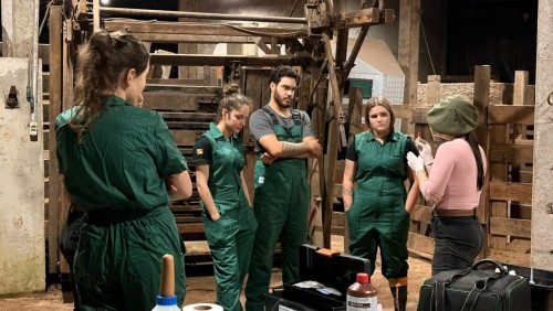 Medicina Veterinária da UNIDEAU realiza aula prática sobre manejo de neonatos