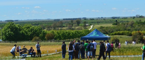 Dia de Campo da IDEAU aproxima estudantes das práticas e inovações do setor agropecuário em Bagé