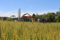 Dia de Campo destaca protagonismo dos acadêmicos de Agronomia da IDEAU