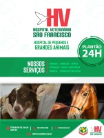 Faculdade IDEAU divulga Edital 01/2026 para Residência em Medicina Veterinária no Hospital Veterinário São Francisco de Bagé